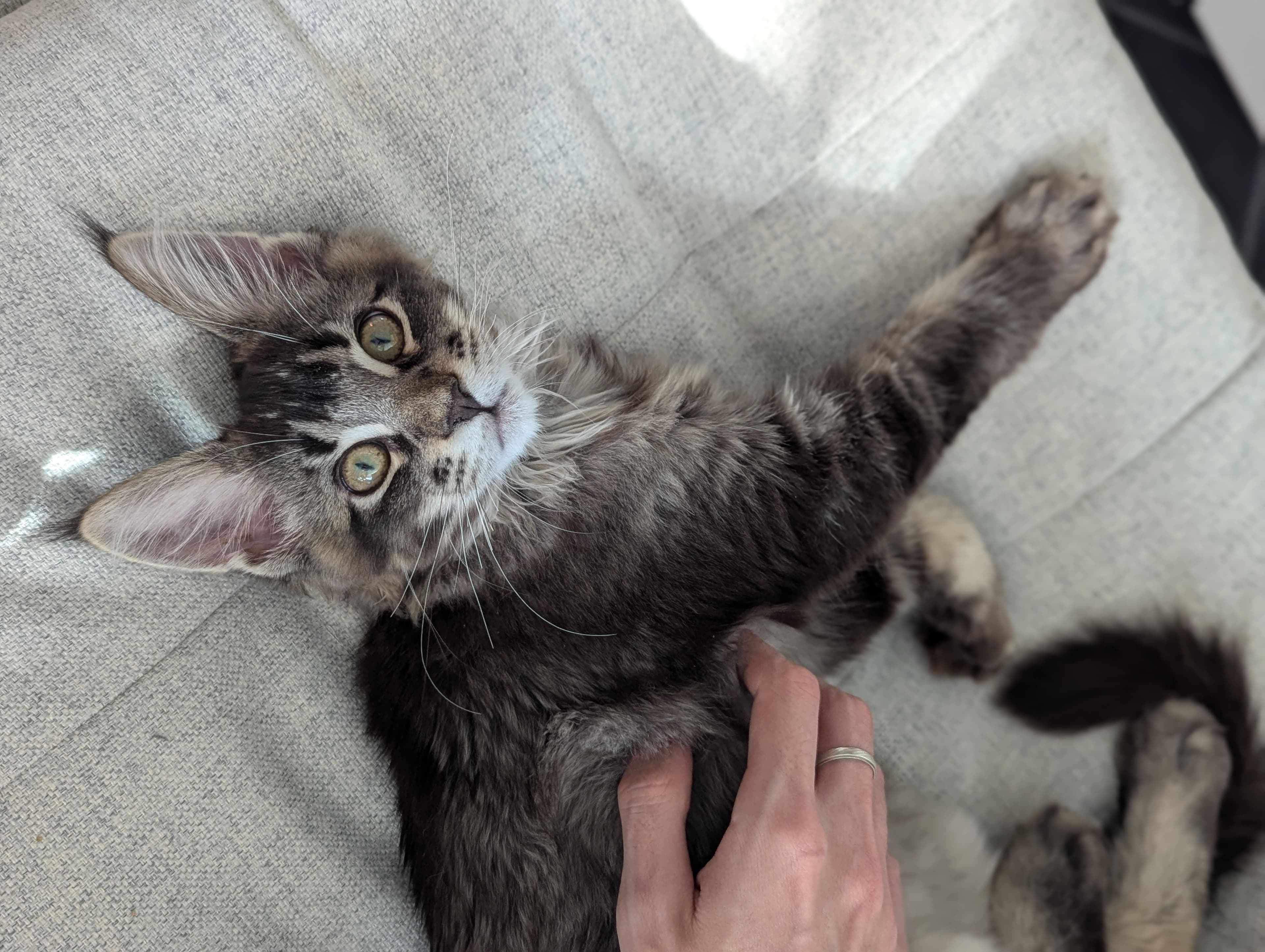 Les "Petits Plus" de Nathalie